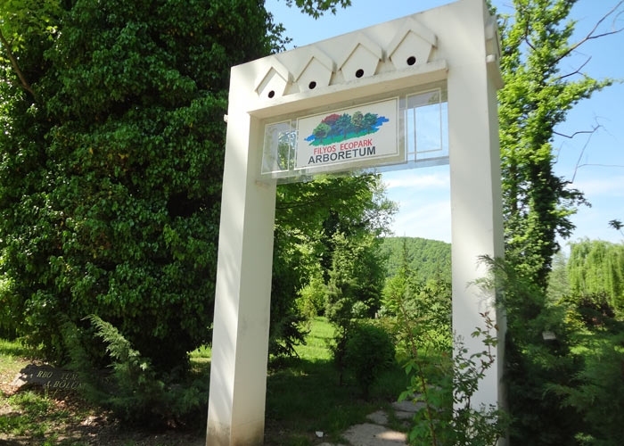 ARBORETUM & ORGANİK SERALAR