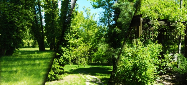 ARBORETUM BAHÇE